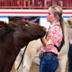 Meet your Posher, Mealiea